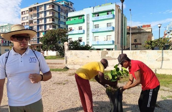 Participan trabajadores de la Dirección de Cultura del Gobierno de La Habana en trabajos de higienización de la capital
tribuna.cu/cultura/2025-1…