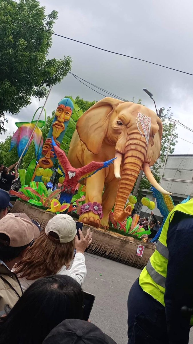 RominaPesce25's tweet image. Tremendas las carrozas de Dolores, pq esto no llega al resto del país?