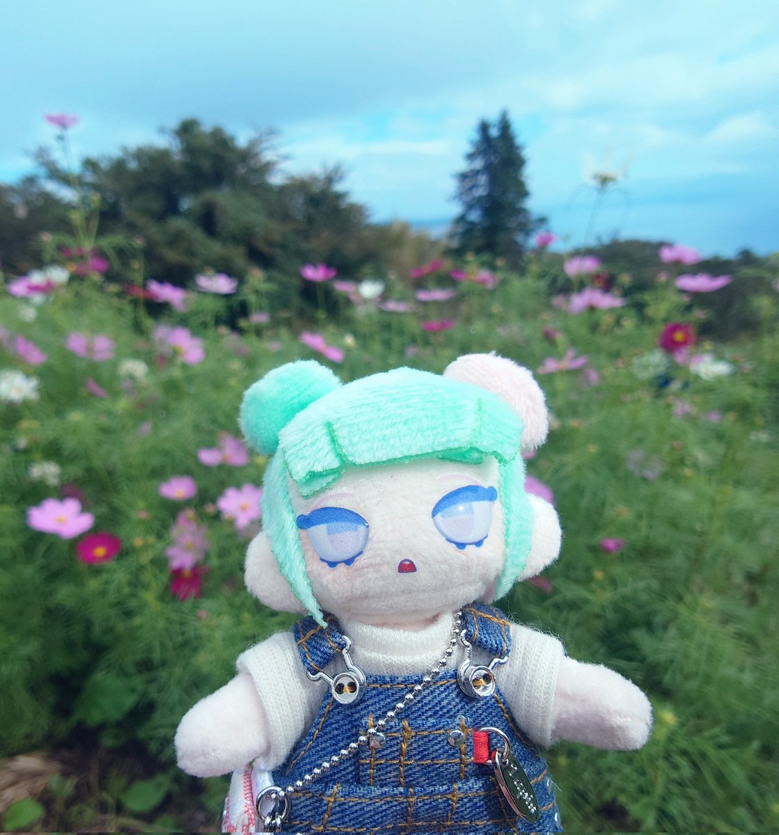 _sen_senka_'s tweet photo. おでかけ たのしかったね☆ https://t.co/xfk0rRLERr