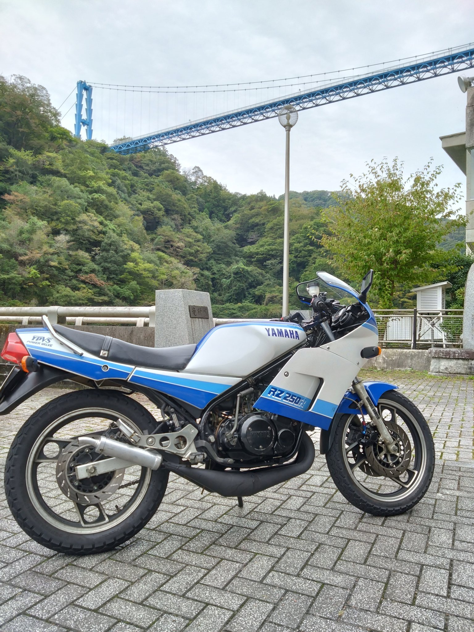 未知なる冒険 赤＋青 SR以下 4コン リーダー付き ブースターパック 運命廻放編 祝福の蒼空 ｜ Z/X - Zillions of