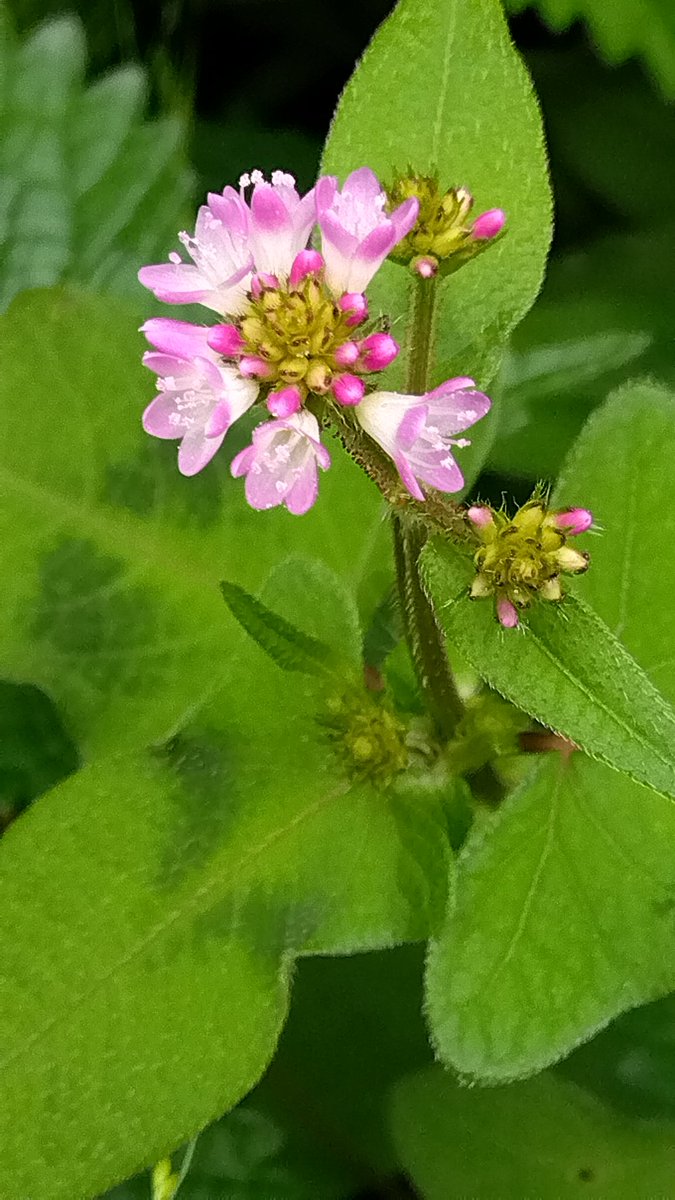 おはようございます😃

雨の日一日になりました☔🌨️

素敵な休日をお過ごし下さい♡⁠(⁠Ӧ⁠ｖ⁠Ӧ⁠｡⁠)