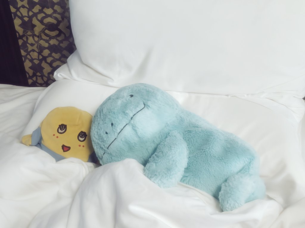 主）いつまでも寝てると置いてくよー

(˙𐃷˙)💤
(。゜▽゜)💤

#ヌオー
#ふわぬお
#ヌオーのいる生活
#ポケモン
#ポケぬい
#ぬい活
#ぬい撮り
#ぬいぐるみの時間