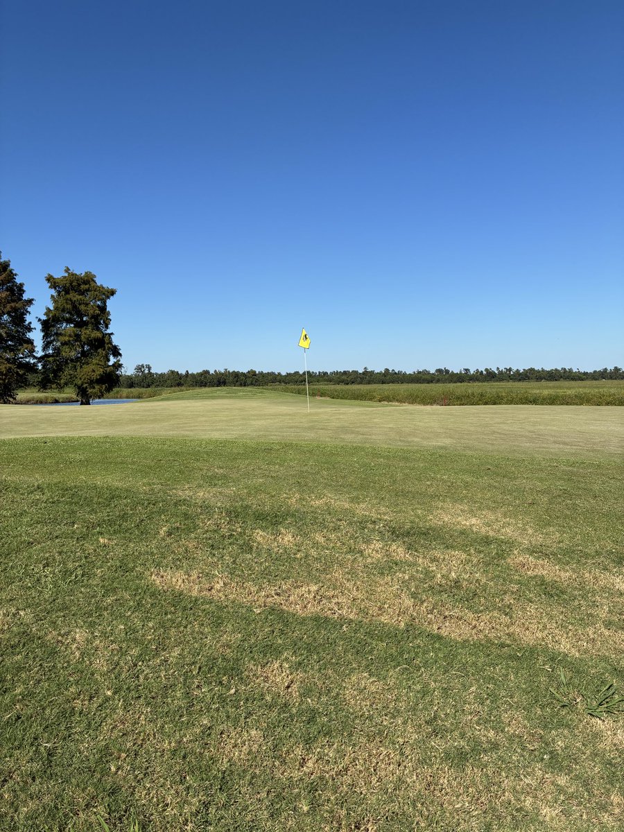 Played Belle Terre this afternoon. Course was in pretty good shape and I forgot how good the stretch of meadow holes is on the front.