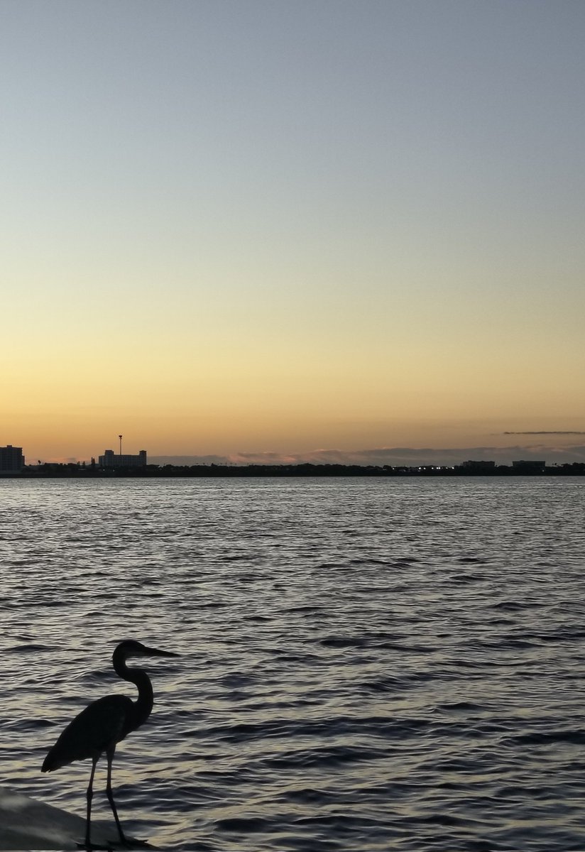 Cooler temps, clear skies, a beautiful day from start to finish.