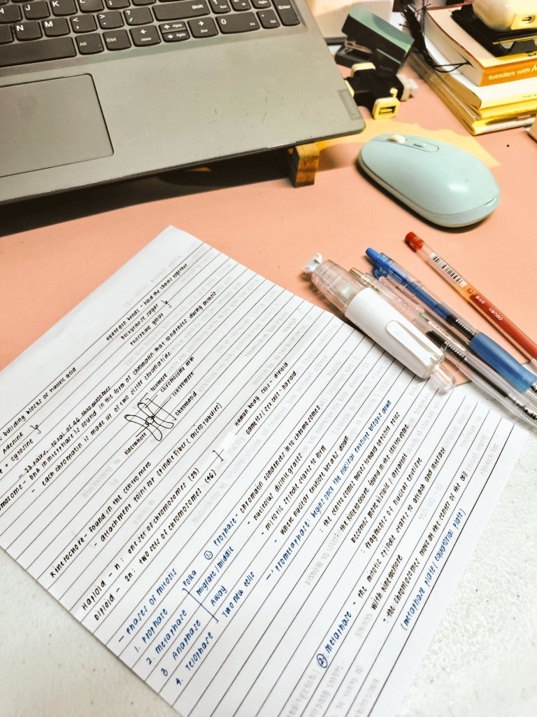 yla ౨ৎ tweet media