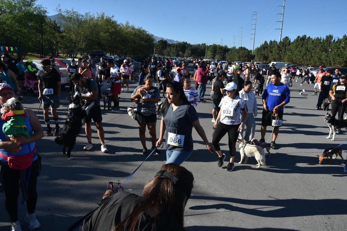 Coahuila se unió por el bienestar animal.
De manera simultánea, se realizó la Jornada del Bienestar Animal y la Carrera Perrona 2025 en el estado de Coahuila, reuniendo a miles de familias y sus mascotas.

#CoahuilaPaDelante #APasosDeGigante