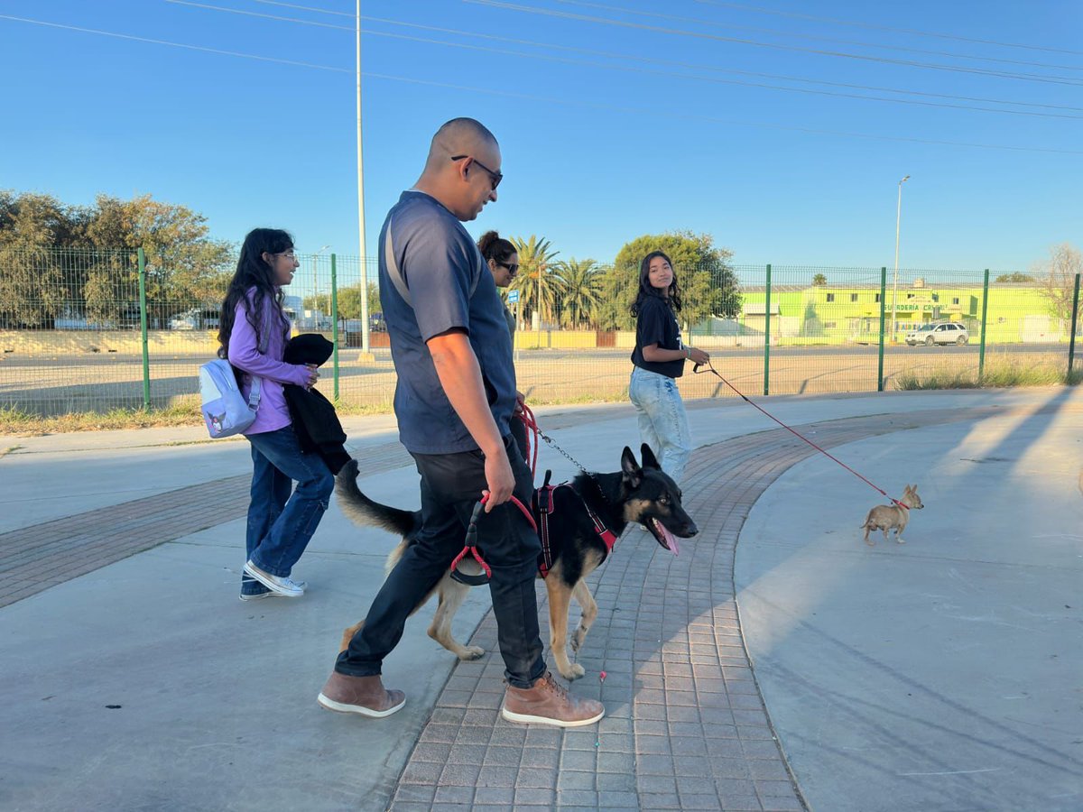 SMA Coahuila tweet media