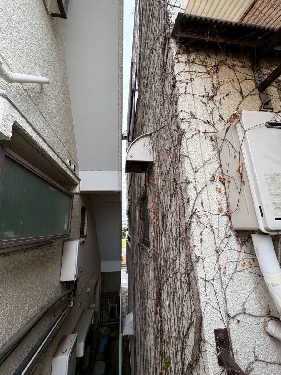 LEOSLAND's tweet image. 📍リフォーム現場より
ツタ撤去作業中🌿
ツタ撤去 → ケレン → バーナー → サンダー

塗装・大工・電気・営業の全員でチームワークよく作業中です💪✨

#リフォーム現場 #外壁塗装 #チームワーク #施工風景 #職人魂 #女性スタッフ在籍 #お気軽にご相談ください