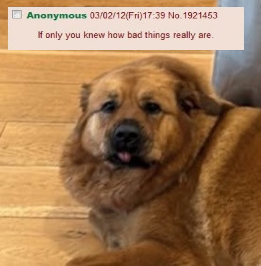 <a href="/Tectone/">TECTONE 🇺🇸</a>