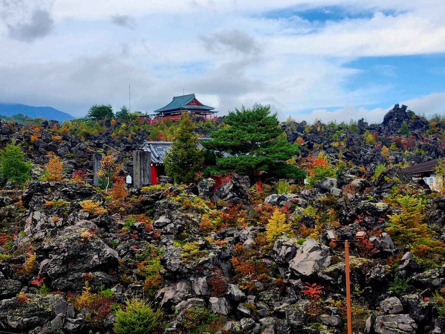 ち*し様 サボ(急行草津長野原～上野/篭原～上野) ち*し様 サボ(急行草津長野原～上野/篭原～上野) ち*し様