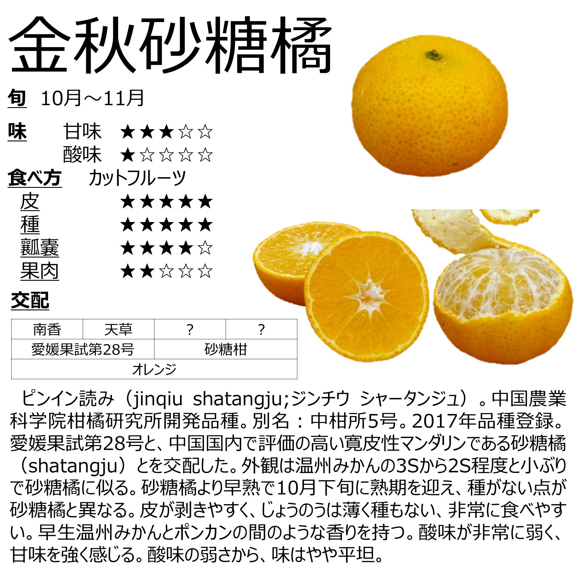 みかん☆さま確認ページ♡ 2023482_LL.jpg