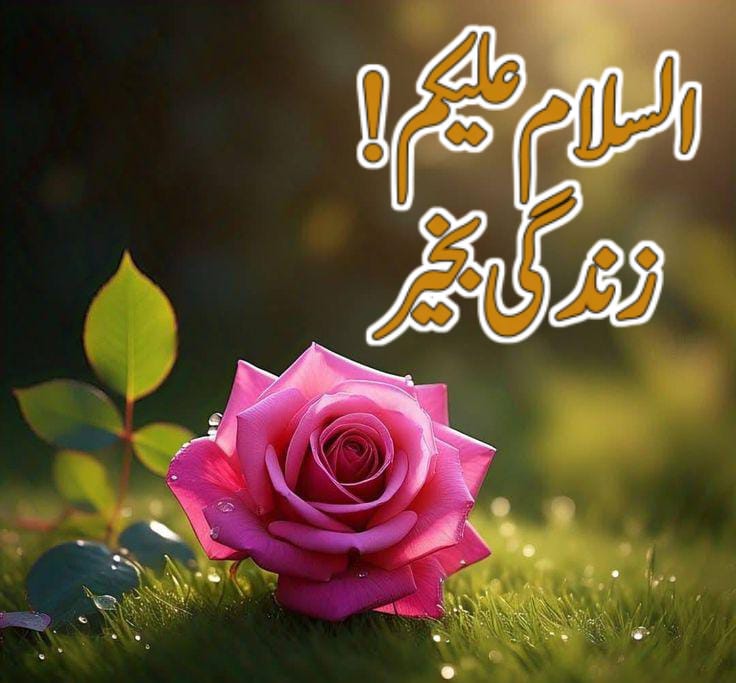 sheikhaltafhus5's tweet image. السلام علیکم و رحمۃ اللہ وبرکاتہ۔۔۔
اللہ کریم آپ سب کو ھمیشہ اپنی حفظ و امان میں رکھیں آمین ثم آمین یارب العالمین 
خوش رہیں سلامت رہیں خوشیاں بانٹیں۔۔۔