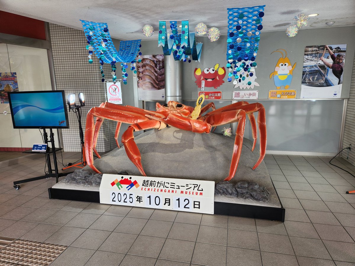 aibaruiji's tweet photo. 福井Geckocafe個展無事に終了しました。お越し下さった方々有り難うございました。また2年後お会いしましょう（その前に干支展示あります）。 https://t.co/XJ79kXEThL