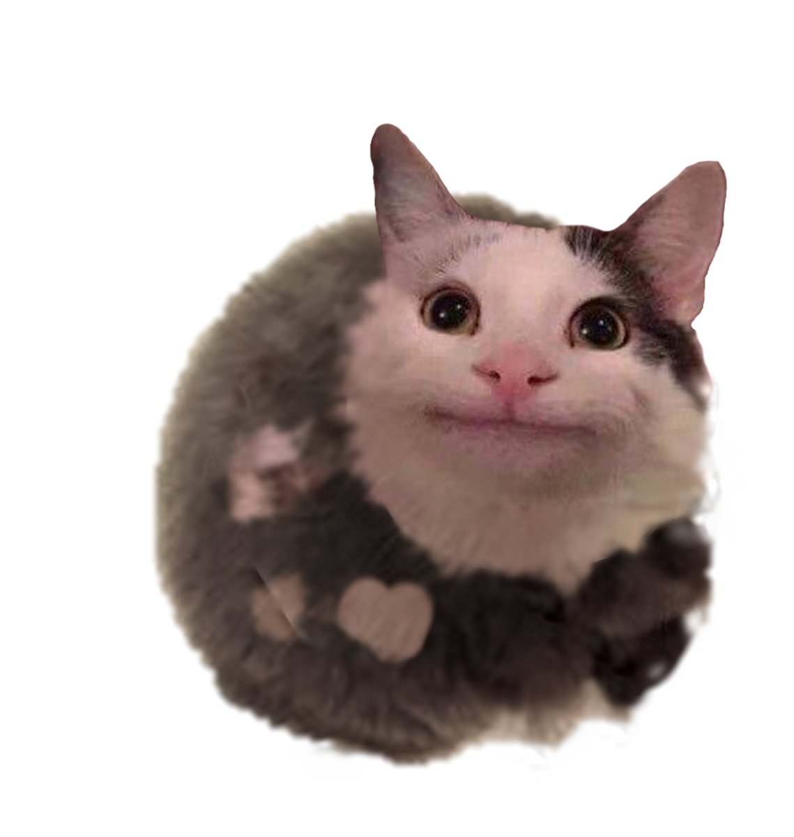 coastoflife_od's tweet image. Hey, @_ooo0OOOO0ooo_, we have a tribble for you!
#NAFOTribbleDivision #sundayvibes