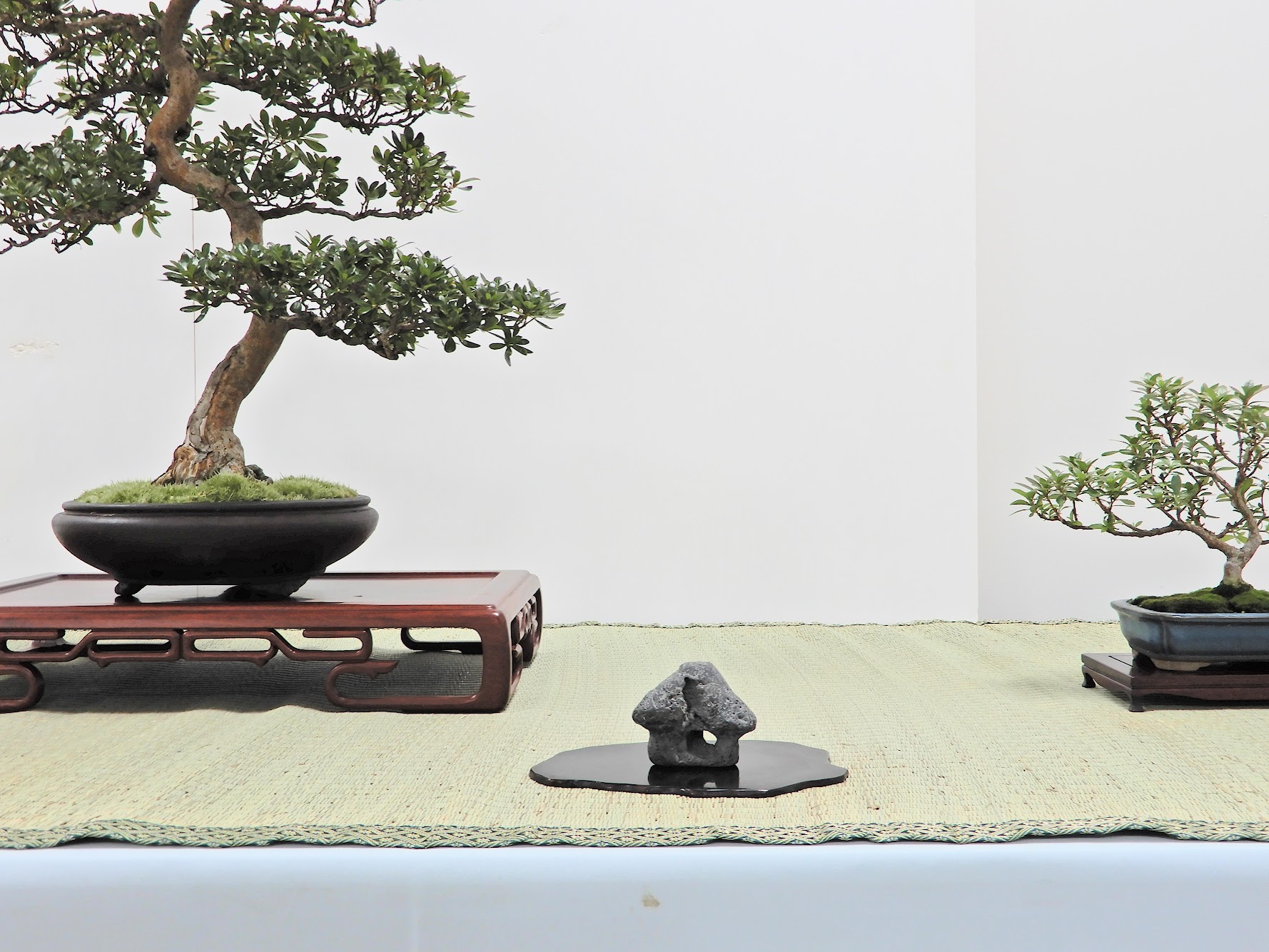 誉平石、鑑賞石、盆栽石、盆景石、盆石、北海道中川郡の石 誉平石、鑑賞石、盆栽石、盆景石、盆石、北海道中川郡の石