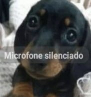 acho incrível como as pessoas sempre querem achar um vilão em alien stage entre os 6, coloquem na porra da cabeça que são 6 pessoas com uma realidade totalmente diferente da nossa e lutando pra viver, sendo marionetes dos aliens COLOQUEM A CULPA NOS ALIENS E NAO NELES