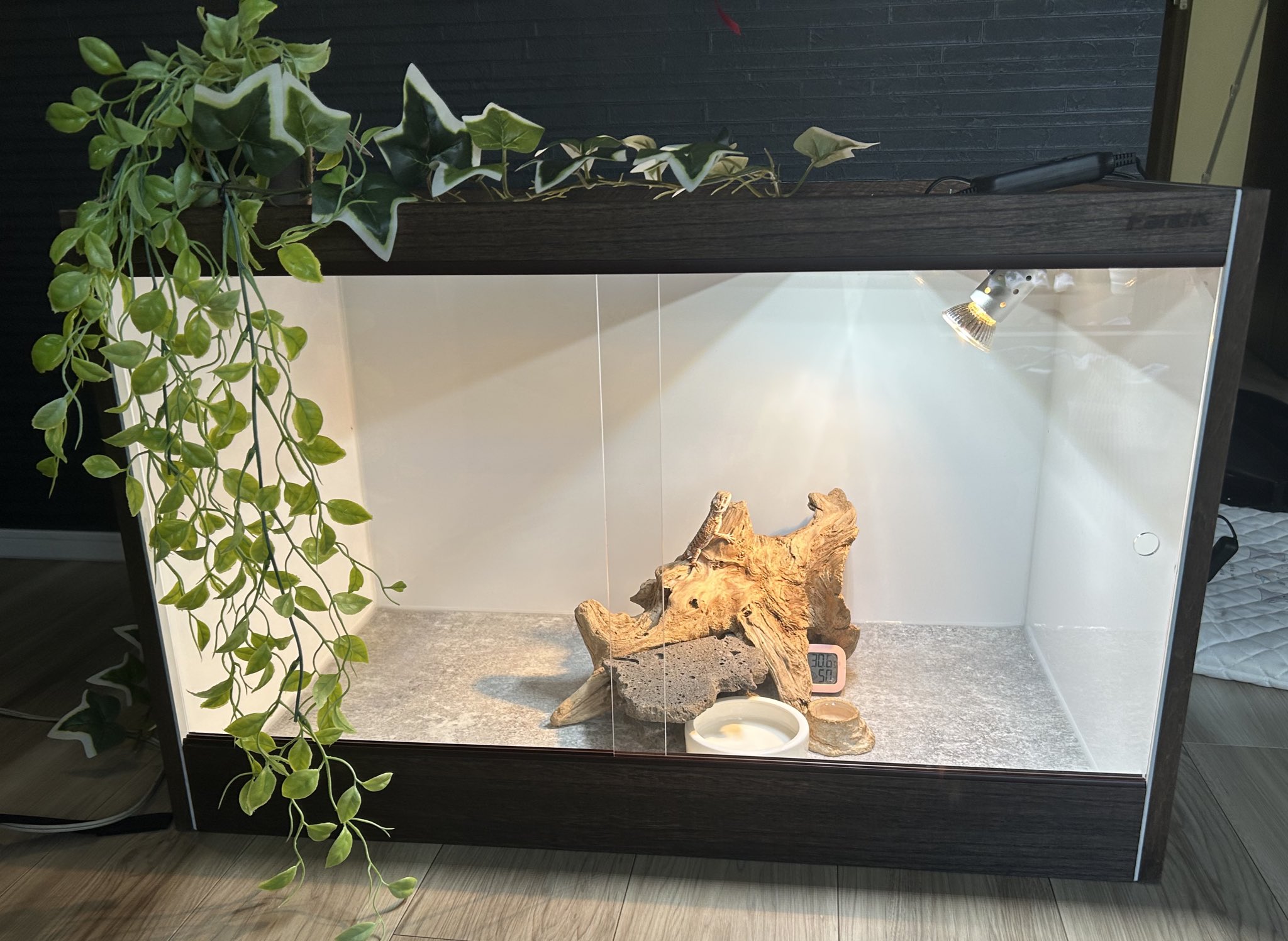 FandK 爬虫類木製ケージ (@mokusei_keiji_2) / X