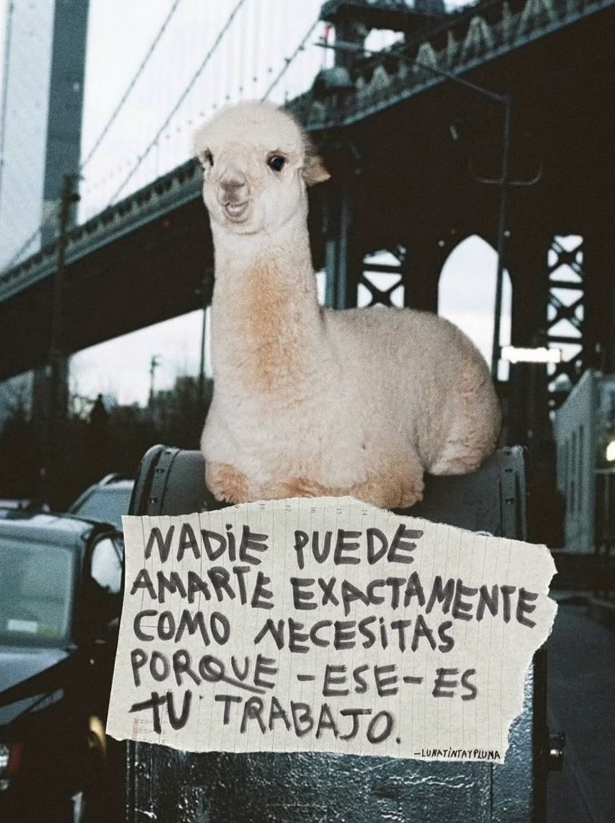 escritosrame's tweet image. 