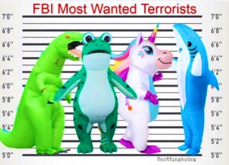 SaftyInNumbers's tweet image. Oh no, it’s ANTIFA‼️