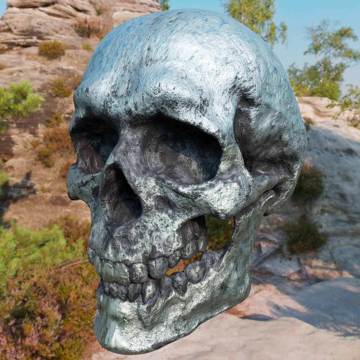 skull
#Zbrush #Substance3DPainter #Maya