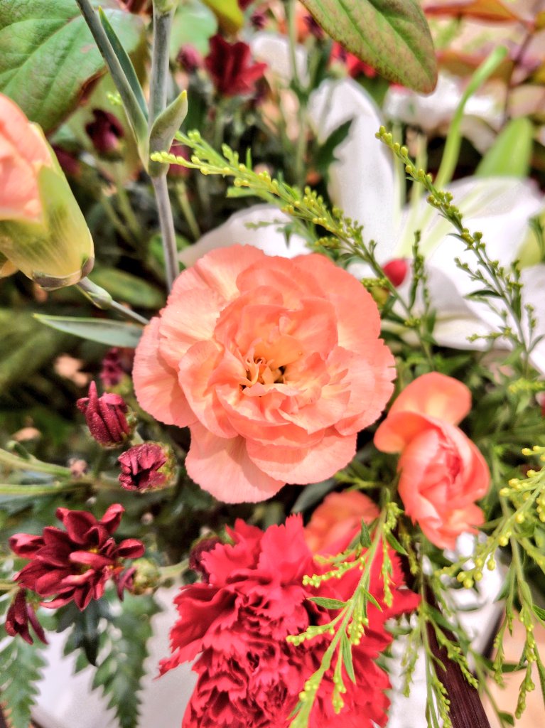 戸塚長沼霊苑 tweet media