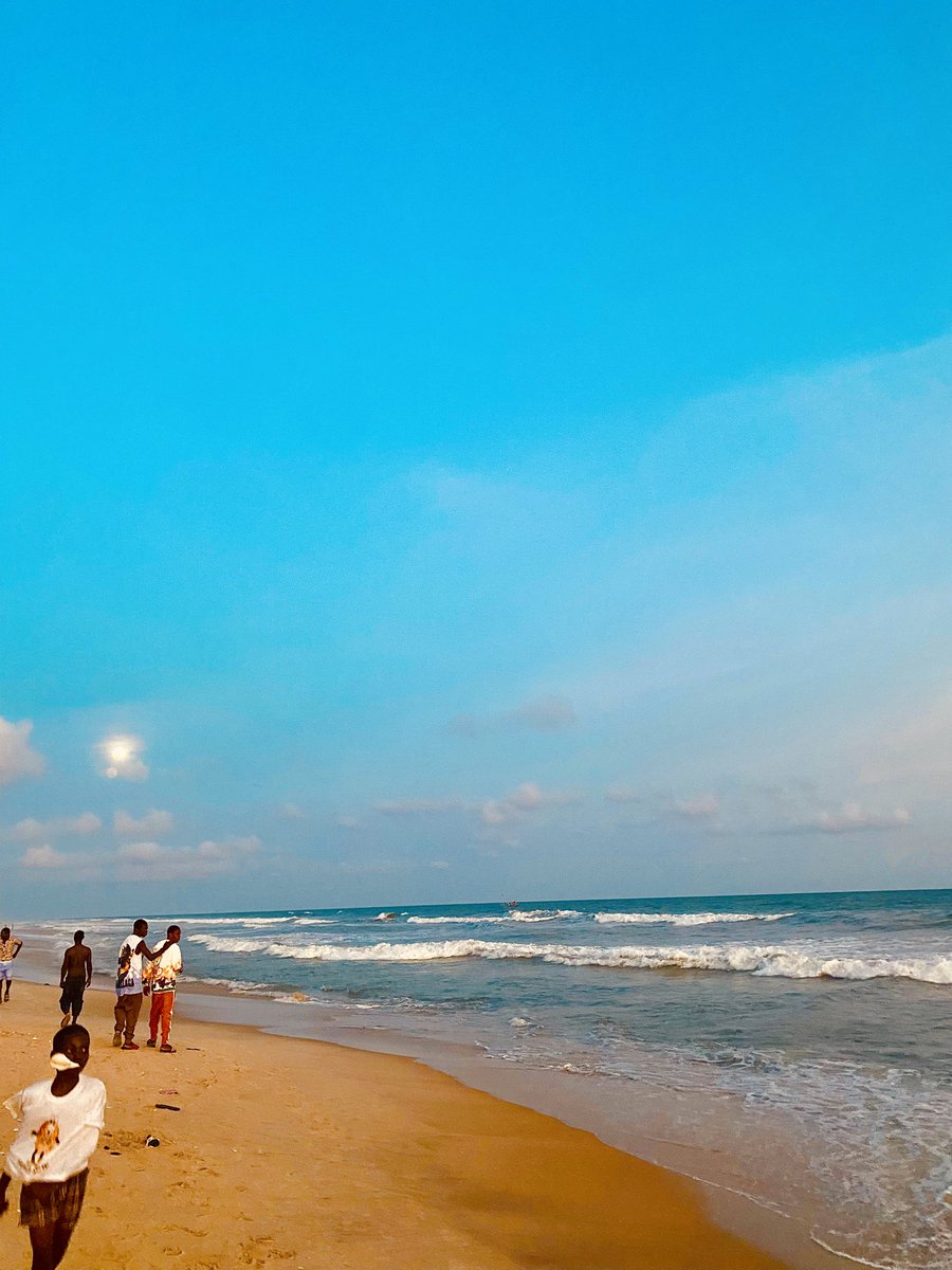 Papilon Blood 🌏 tweet media