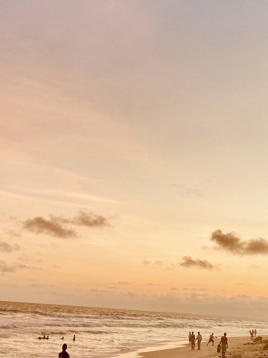 Papilon Blood 🌏 tweet media