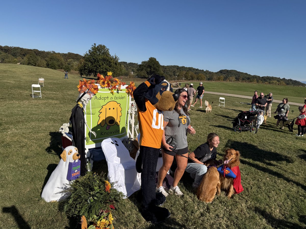 Look who showed up at the <a href="/adoptagolden10/">Adopt a Golden Knox</a> BARKtoberfest!  #Smokey