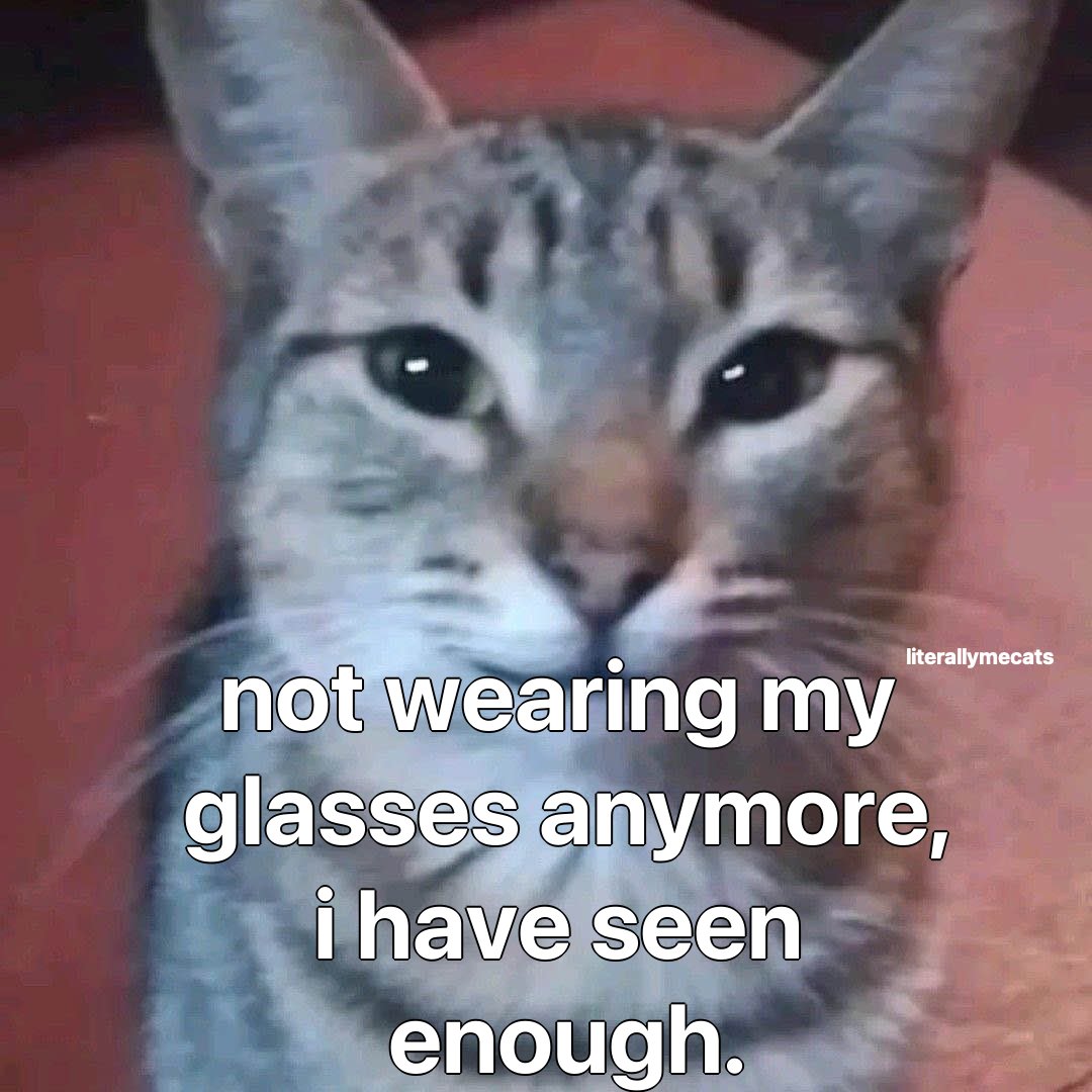 literallymecats's tweet image. 