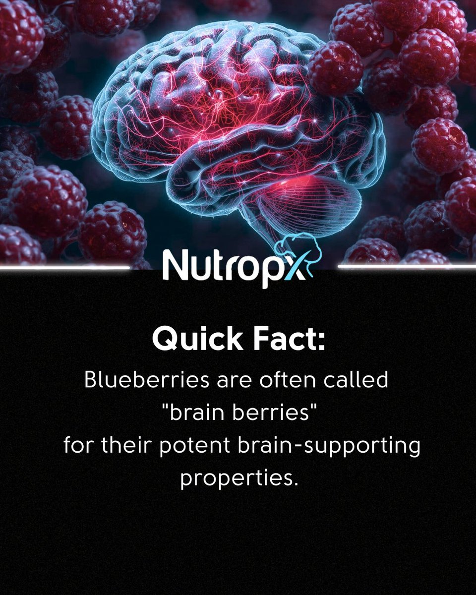 nutropx's tweet photo. That vibrant blue color in blueberries comes from compounds called anthocyanins. These are powerful antioxidants that can cross the blood-brain barrier and help protect neurons from oxidative stress. Including them in your diet is a delicious way to support your cognitive health.
What's your favorite way to eat blueberries? Share below!
#Blueberries #Antioxidants #BrainBerries #EatTheRainbow #Nutropx