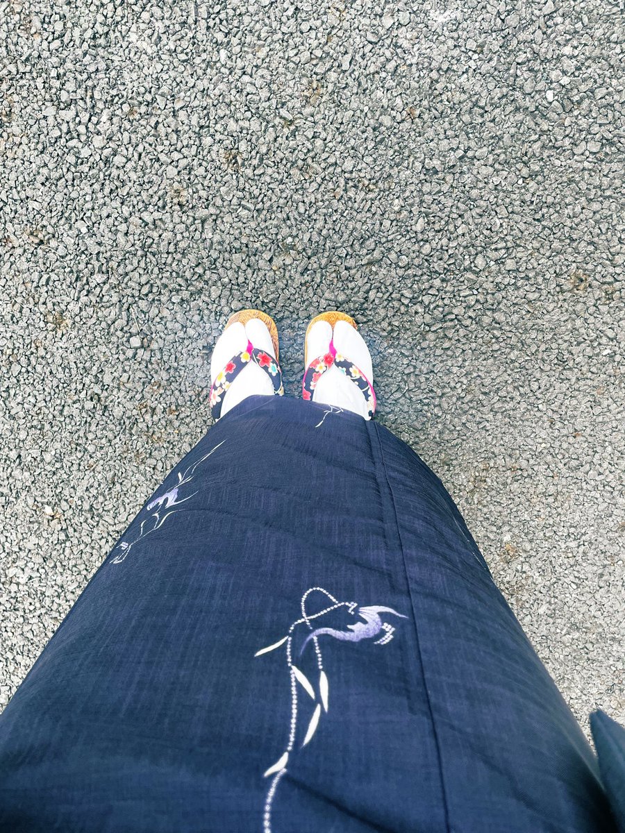 おはようございます🌞

昨日今日と日舞稽古👘
此度は両足🦇🦶
踊ってきまーすっ🪭

#日本舞踊 #着物