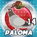 Resumen de hoy Domingo
36 Culebra Loto Especialllllll
13 Mono Loto fijooooooo
10 Tigre Granjita fijooooooo
Guacharo Activo
67 Avestruz fijooooooo
Lo mejor fue
14 Paloma Especialllllll
Con hora 4pm.
Extraordinario el día de hoy
+584127459446
Jason el insuperable de los animalitos