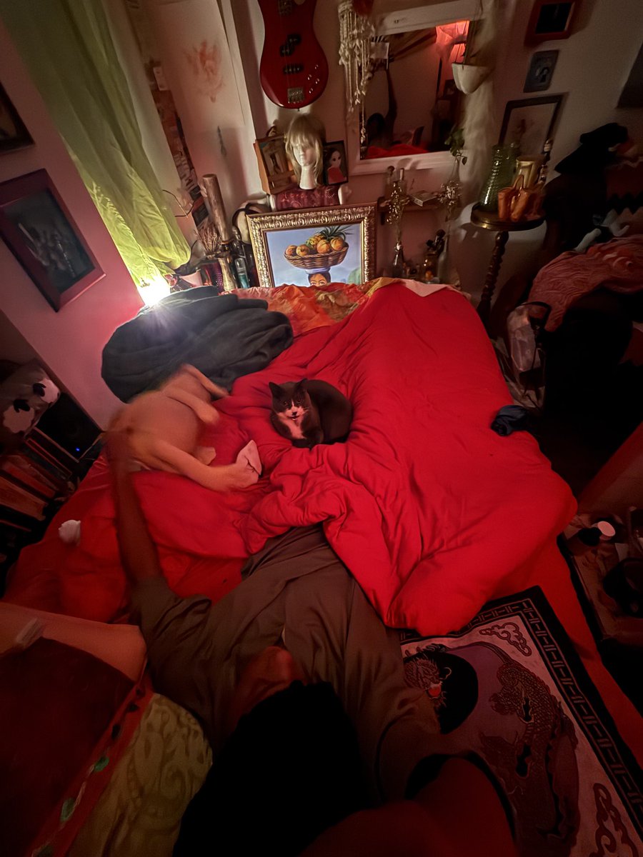 plushiecollect's tweet image. #spookyhours