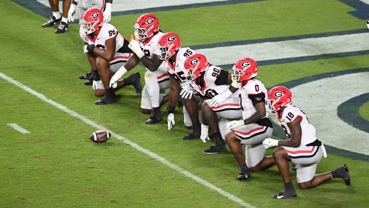 The last thing you see before you fumble at the goal line.