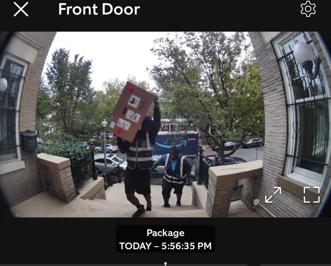 Sally Is A Dog tweet media