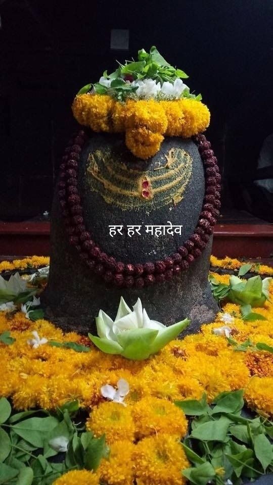 Singhpapa1's tweet image. 🚩 हर-हर महादेव 🚩
भोलेनाथ की असीम कृपा आप सभी पर बनी रहे 🙏
शिव शंभू महादेव सबका कल्याण करें,
संसार में सुख, शांति और समृद्धि का वास हो 💫
ॐ नमः शिवाय 🔱