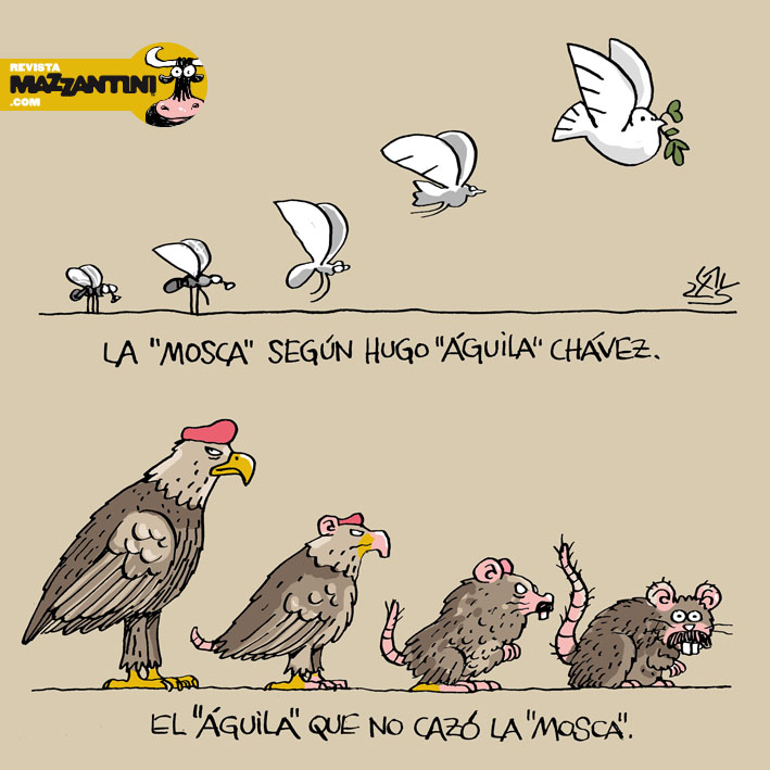 "Paloma no caza rata", por Lauzán. María Corina Machado enfrentó a Hugo Chávez en su rendición de cuentas de 2012 en #Venezuela y este, al sentirse cuestionado respondió arrogante: “Le sugiero que gane primarias porque está fuera de mi ranquin. Águila no caza moscas”, recalcó.