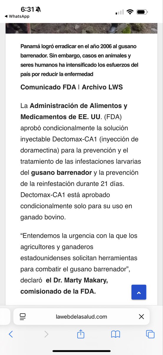 oscardomsv's tweet photo. La nueva estrategia contra el gusano barrenador, que incorpora el uso de ivermectina y doramectina, la iniciamos en mayo. En su momento, fue criticada por la oposición e incluso por algunos “expertos”; sin embargo, no nos detuvimos y hoy los resultados hablan por sí solos: hemos logrado posicionarnos como uno de los mejores países de la región en el control de esta infestación.

Hoy, la FDA aprueba el uso del fármaco a nivel regional debido a su alta efectividad. Implementar esta medida desde el inicio nos permitió obtener una gran ventaja ante la presencia de la mosca, por eso actualmente mantenemos el control en más del 85% de nuestro territorio. Este control es reconocido a nivel regional.

No bajaremos la guardia. Seguimos trabajando por el bienestar de nuestros productores y la salud animal en El Salvador.