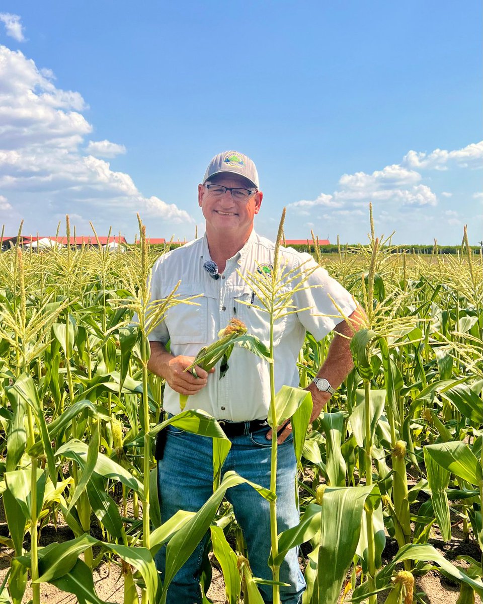 Southern Hill Farms tweet media