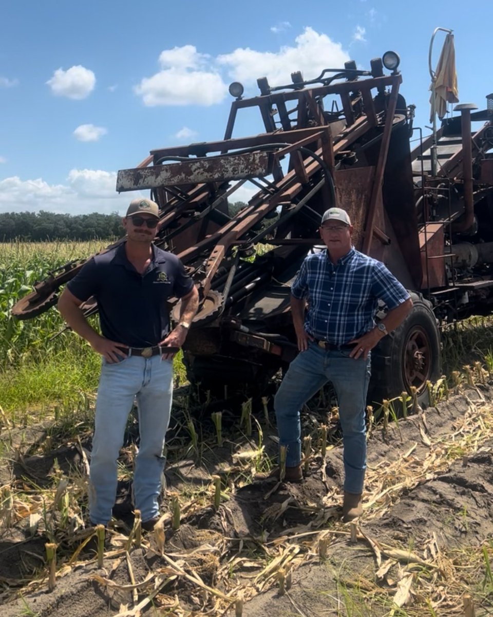 Southern Hill Farms tweet media