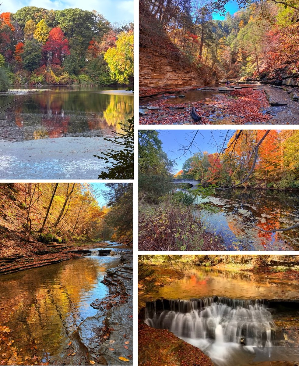 MarcosLab_UR tweet media