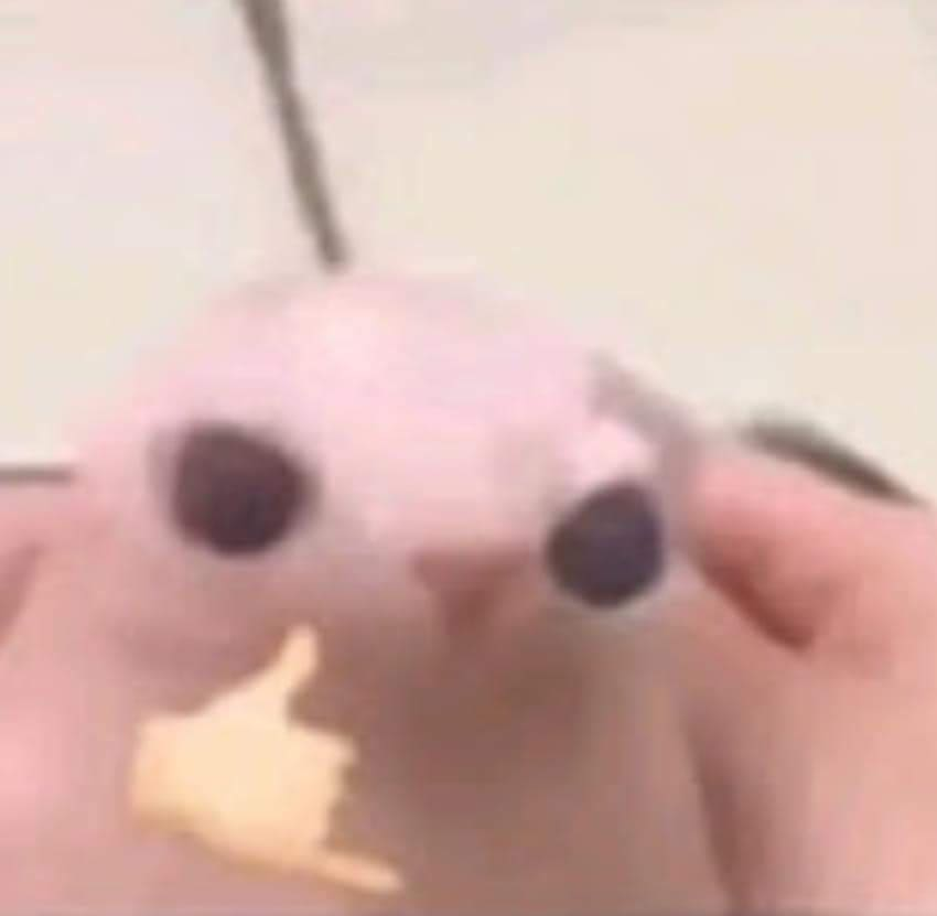 Hey guys, because of university, I've decided to only open one more commission and one trade for the rest of the year. I'll leave this post up for anyone who's interested, and at the end of the month, I'll choose the commission. I'll have to a good look for the one ill make the