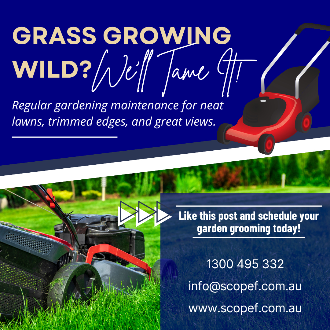 au_scope's tweet image. Overgrown lawn? We trim, edge &amp;amp; maintain so your property always looks sharp. 🌿 #LawnCare #GardenMaintenance #LandscapeService #NeatLawns

Contact us here for more info:
📞 Call: 1300 495 332 | 💻 scopef.com.au | 📧 Email: info@scopef.com.au