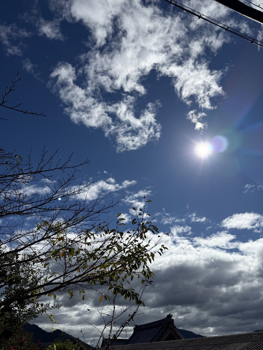 ちんさん (@chinsan44) / Posts / X