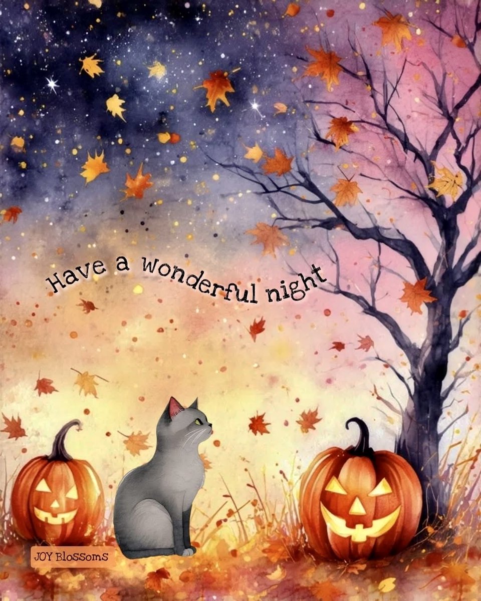 LejmanMargie's tweet photo. Have a wonderful night 🎃🍁🐈‍⬛
#fallevening #sundaynight https://t.co/jXEttzDKpy