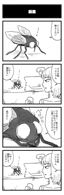 #4コマ 