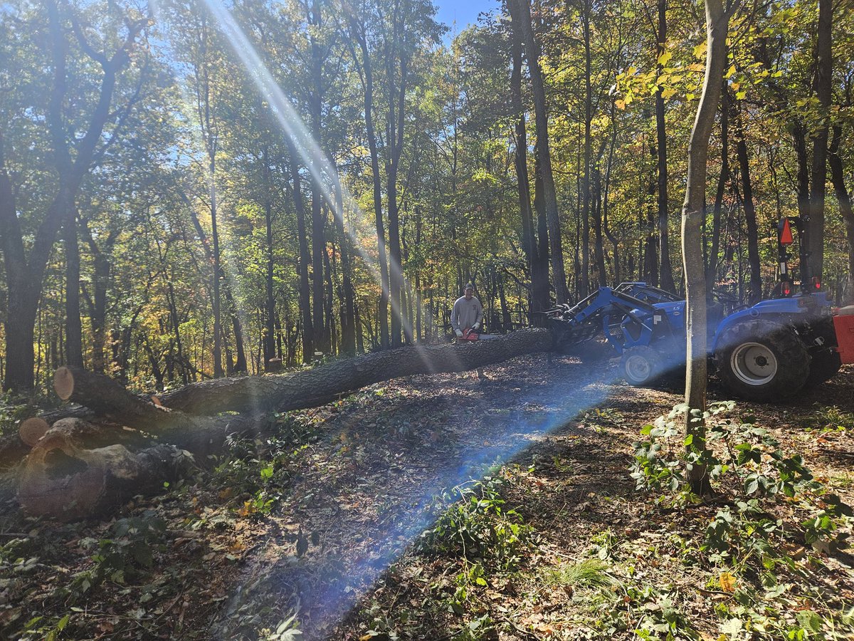 Kayde_Woof tweet media