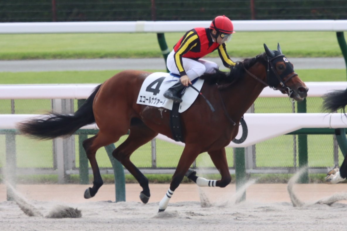 HiyoshiPocket's tweet image. 2025年10月13日
#エコールナヴァール
#クリストフ・ルメール
#サンデーレーシング
#EcoleNavale
#2歳未勝利
#東京競馬場