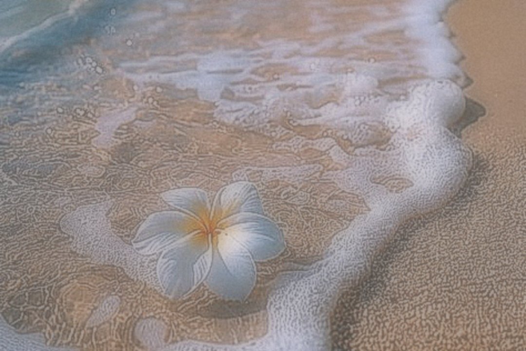 astrorith's tweet image. ᅠㅤ
̹                 ☄    `   ㅀ      𝐚𝐬𝐭𝐫𝐨𝐫𝐢𝐭𝐡.
ᅠㅤ
𝐈𝐈.— Caricias espumantes que embriagan entren suaves olas que acarician la piel y cosquillean entre los dedos de los pies.
ᅠㅤ