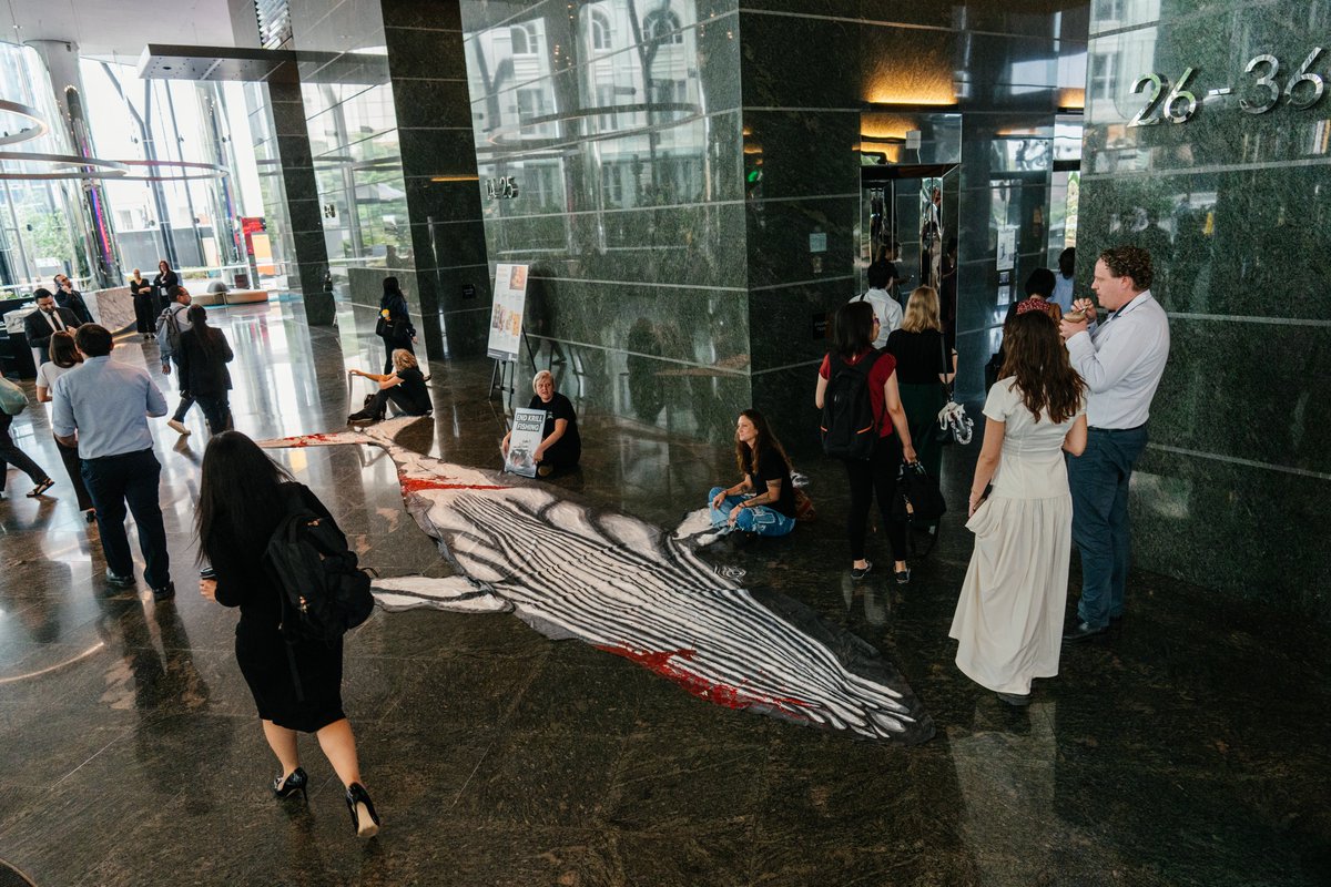 BobBrownFndn's tweet photo. #BREAKING: Activists have today occupied Environment Minister Murray Watt’s electoral office building, demanding Australia take action to ban krill fishing in Antarctica and stop approving new coal and gas projects. #auspol https://t.co/8c8lzZAvjo
